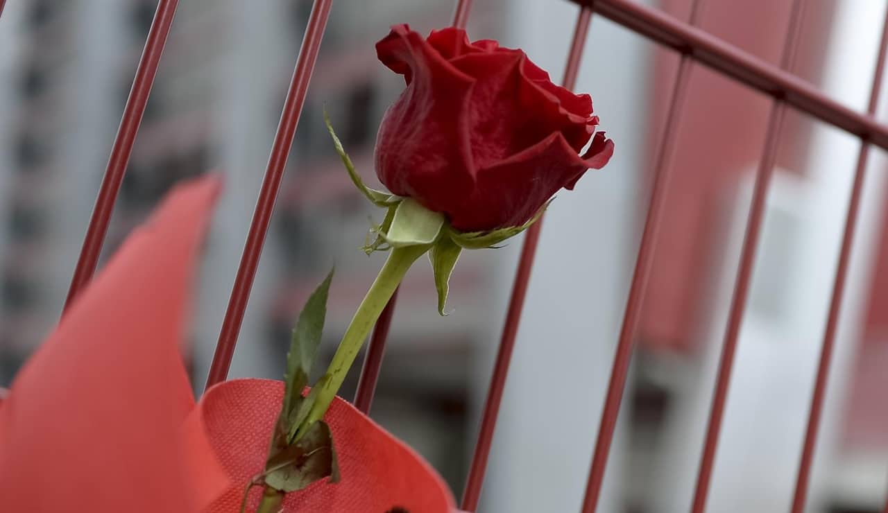 Un fiore in segno di lutto - Foto Lapresse - Ilromanista.it